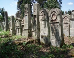 Дизайн фасаду мацев