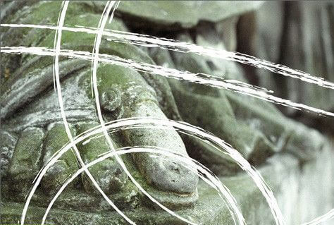 Що пам’ятають про себе сусіди? Польсько-німецький досвід з Україною у тлі