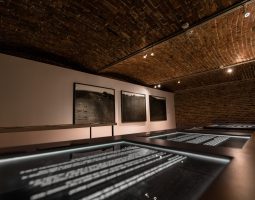 Guided tours along the 