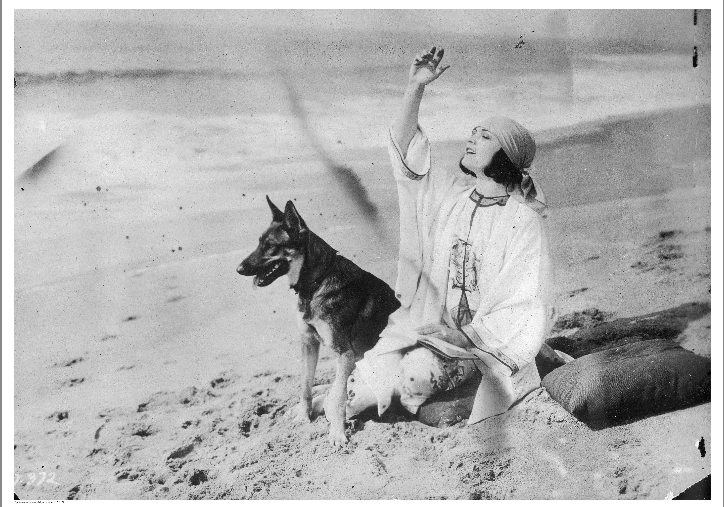 Фотографія приватна/публічна