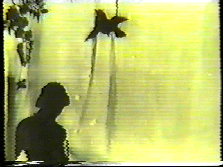 Футурологічний конгрес