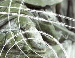 Колективна пам'ять