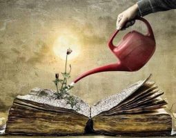 Memory and Literature