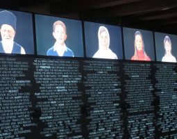 Regarding the Pain of Others