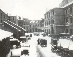 Between the Frontlines