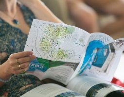 Summer Schools in Odessa