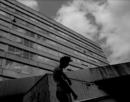 Architecture (a)political