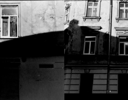 Achievments of the SWAP residence