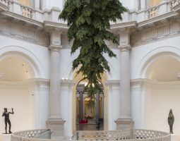 Solitude and Christmas