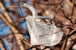 The Earth in a Plastic Bag