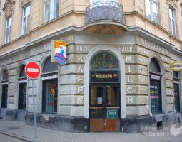 The Multilingual City