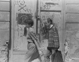 Photography Documentation Property