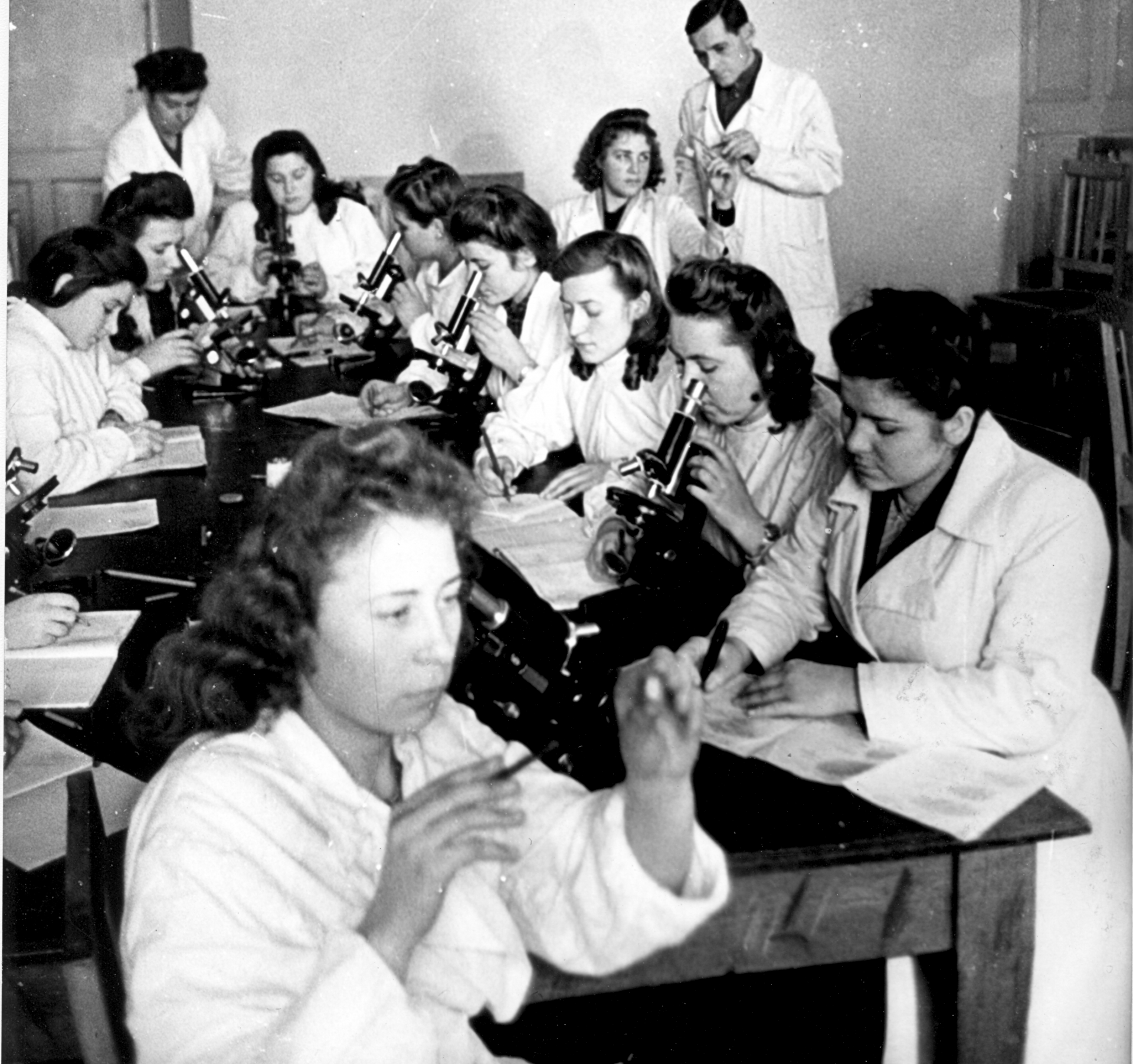 Educational Platform Presentation and Discussion