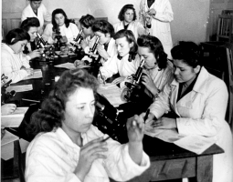 Educational Platform Presentation and Discussion