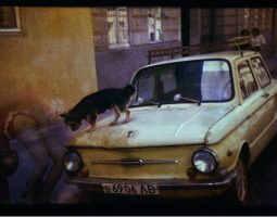 Photography as Contemporary Art