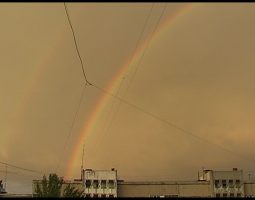 Amateur Filmmaking as a Cultural Phenomenon