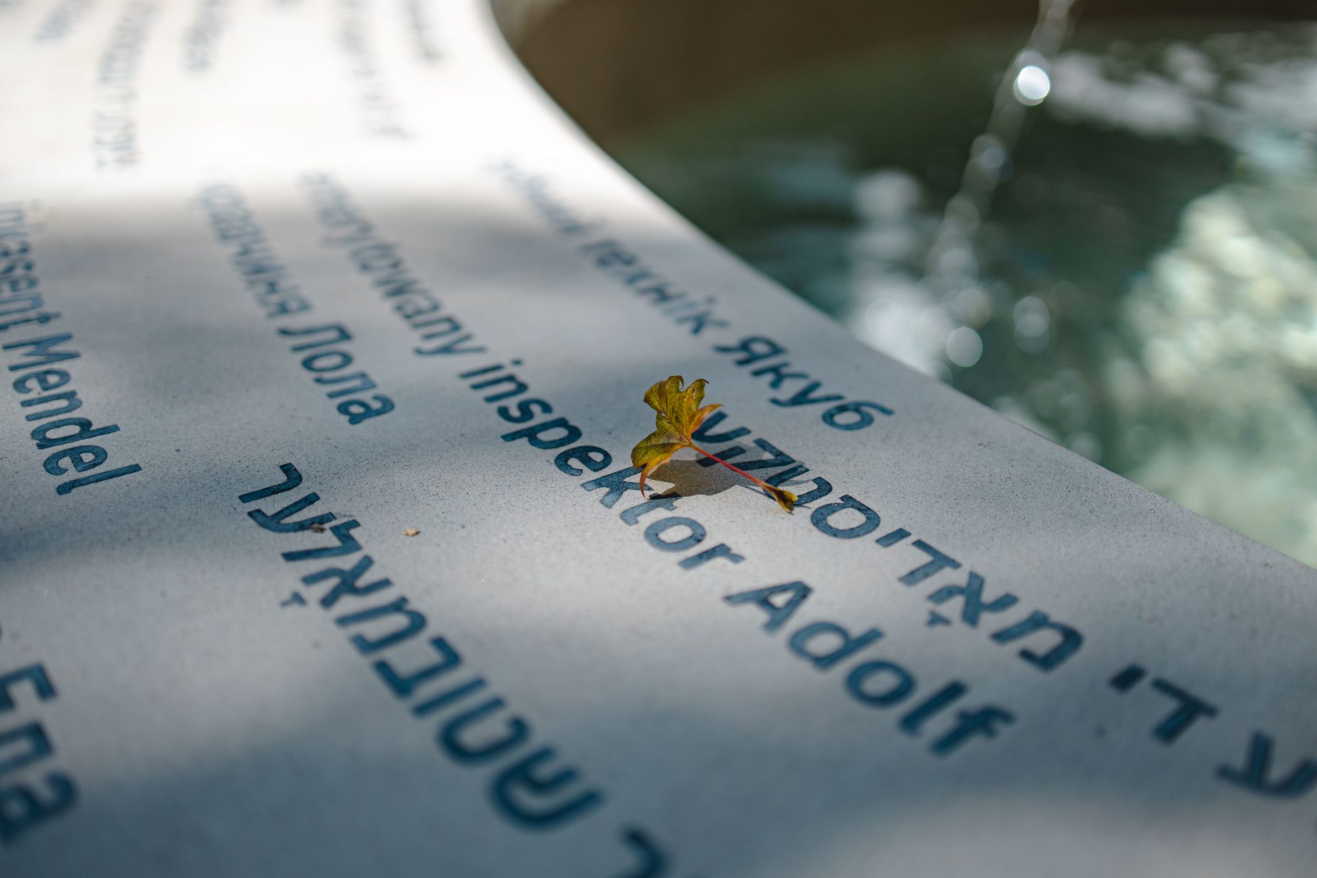 Проєкт реконструкції площі Коліївщини отримав відзнаку від Європейської премії з міського громадського простору 2022