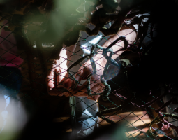 When, Whom, How to Involve in the Recovery?