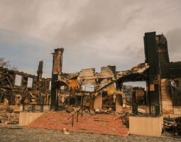 Russia's War against Ukraine and the Position of German Historians