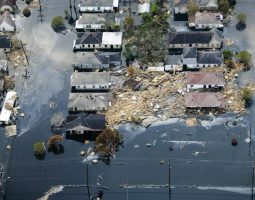 Participation in Recovery: Experiences of other Countries