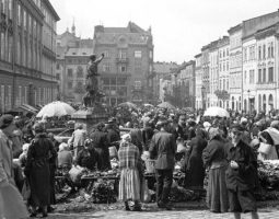 Соціальне місто: Історії мобільності, статусів, гендеру та добробуту