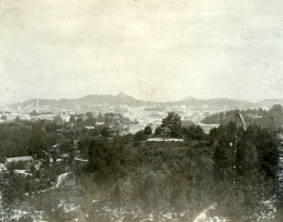 Озеленення Львова: політика 