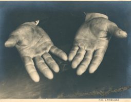 Львівська школа фотографії