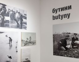 Дорога додому: магнітні поля, зоряні орієнтири та сонячні компаси