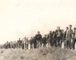 Повернення якого не повинно було бути: кримські татари та їх шлях додому