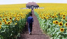 Between Nostalgia and Postmemory: Ukraine as a Lost and Found Home