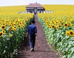 Between Nostalgia and Postmemory: Ukraine as a Lost and Found Home