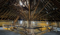 Безбар'єрність у мурах