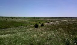 Збереження наукових надбань заповідників і національних парків, що постраждали під час війни