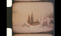 Розклад роботи Центру під час зимових свят