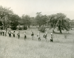 Identities in Borderlands