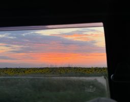 Контрархівування ефемерного: проєкт 