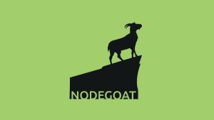 nodegoat: цифрові технології для гуманітарних досліджень