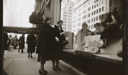Window Shopping with Helen Keller: Architecture and Disability in Modern Culture